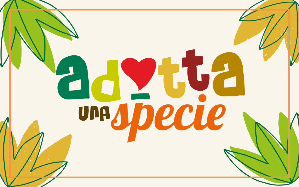 /uploads/Adotta/Adotta una specie.png